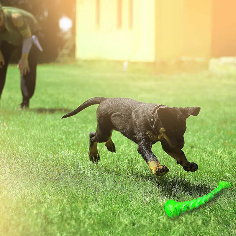 Juguete interactivo de entrenamiento para perros y mascotas, palo Molar divertido, goma fuerte, duradero, limpieza de dientes, tamaño largo,