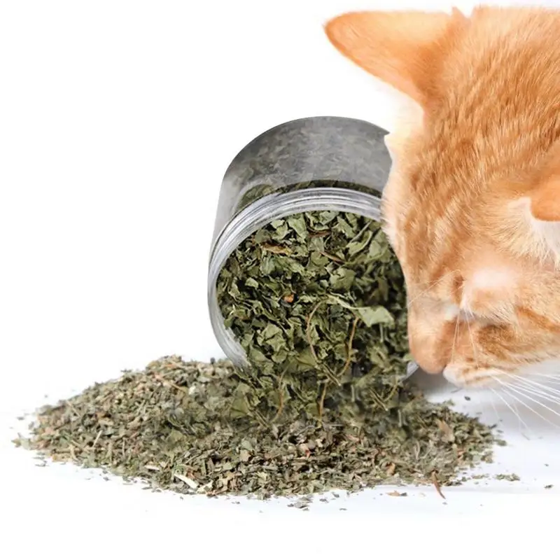 40g Simply Catnip Natural Organic Premium Catnip Catmint Menthol Flavor Can Be Sprinkled on Toys and Catnip Toys