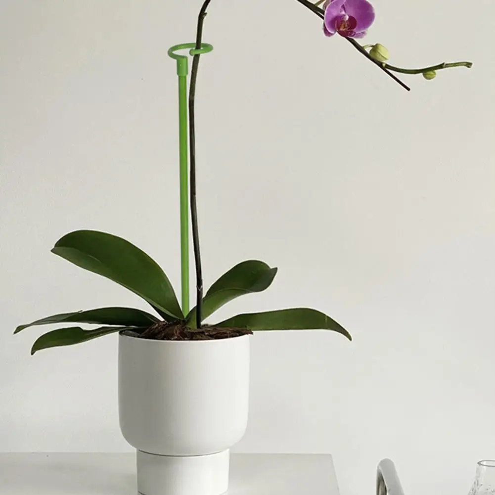 30/40/60/80cm Pot Stand Shape Plant Long-lasting Wide Applications Plant Climbing Sturdy Plant Support Stakes For Amaryllis