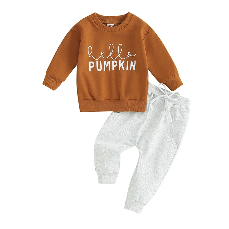 Baby Toddler Boys Fall Winter 2pcs Outfits Suit Little Dude Letter Printed Long Sleeve Sweatshirts Pants 2Pcs Clothes Set