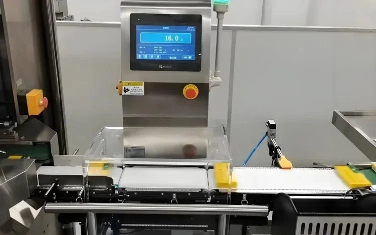 Automatic Food Packing Machine Belt Conveyor Check Weigher Machine Touch Screen 200g Metal Detector and Check Weighing Equipment