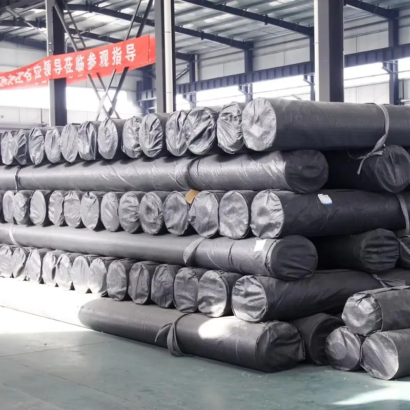 HDPE Anti Seepage Geomembrane Liner Customized Size for Fish Farm Reservoir Landfill and Wastewater Projects Worldwide