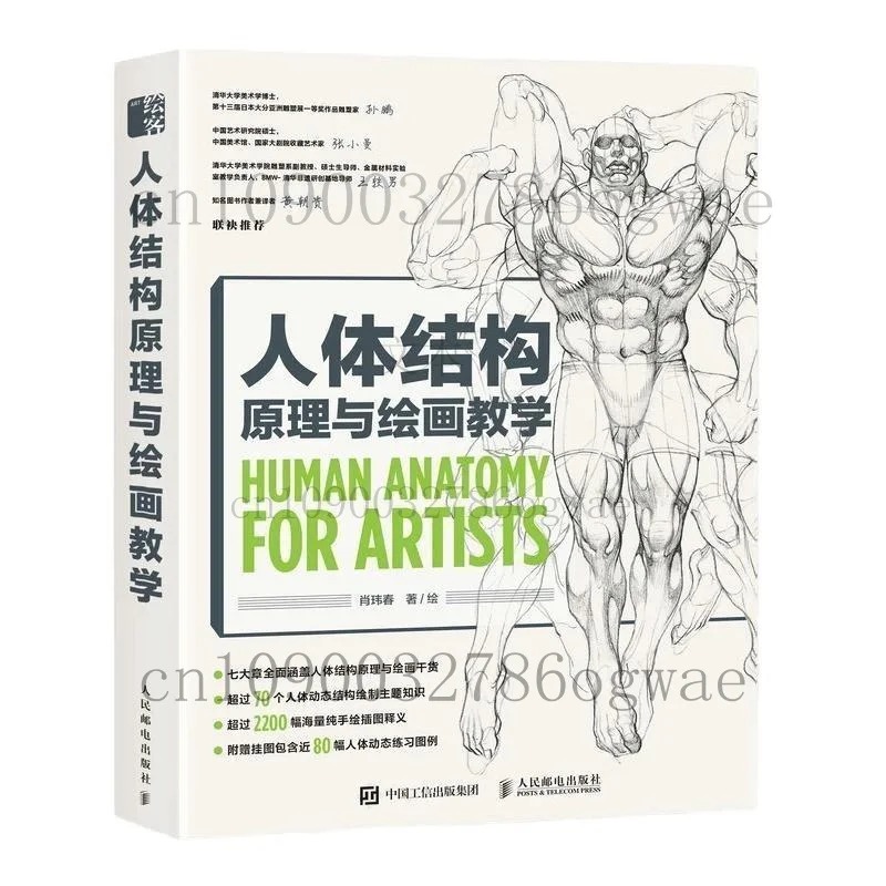 principi-anatomici-e-tutorial-di-disegno-guida-completa-alla-struttura-del-corpo-umano
