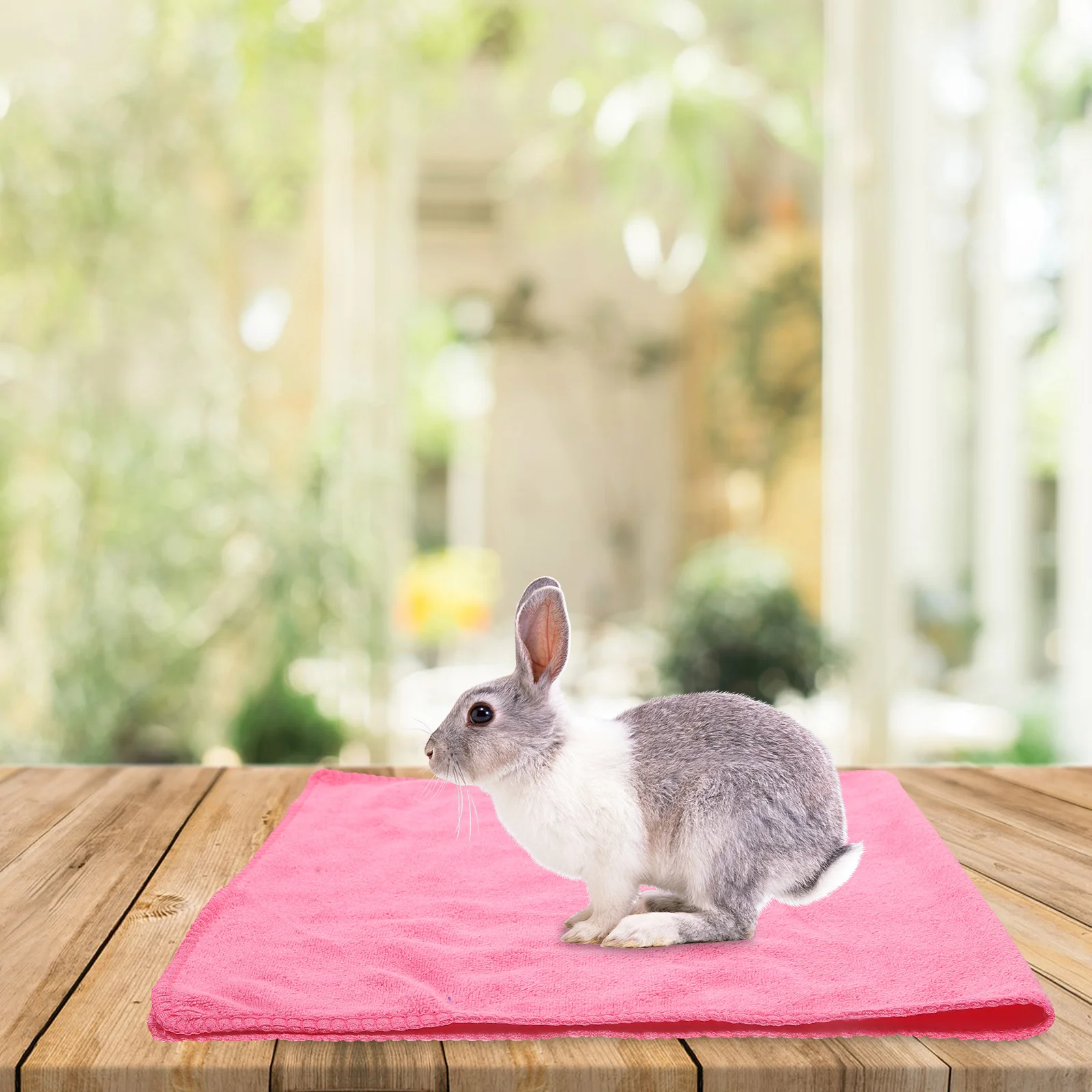 

5 Pcs Pet Blanket Small Fleece Warm Sleep Mat for Animals Bed Pee Pads Guinea Pig Blankets Squirrel Cage
