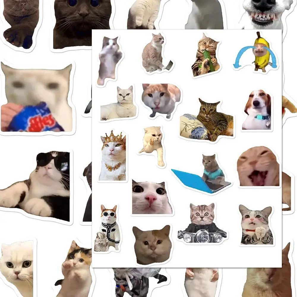 Funny Abstract Cat Meme Stickers, Instagram‑Style Silly Waterproof Decals for Notebook & Laptop DIY Decoration