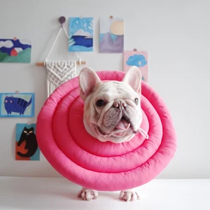 طوق الأليفة المخروطي الناعم القابل للتعديل ، طوق استرجاع ، صغير ، متوسط ، كبير ، قطط ، قابل للتعديل أعلى 6 منازل كبيرة مبيعات ايكيا - رقم 4