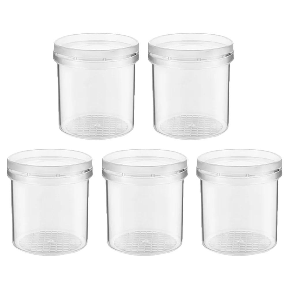 5 Pcs Outdoor Playset Insect Observation Box Professional Cage Portable Transparent Plastic