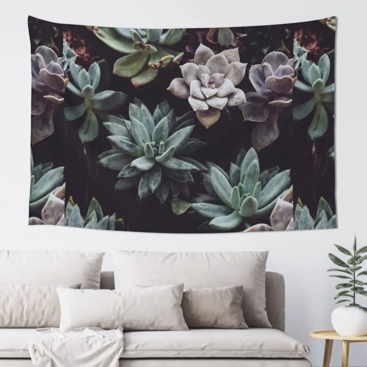

Succulent 1 Tapestry Kawaii Room Decor Outdoor Decor Wall Decoration Tapestry