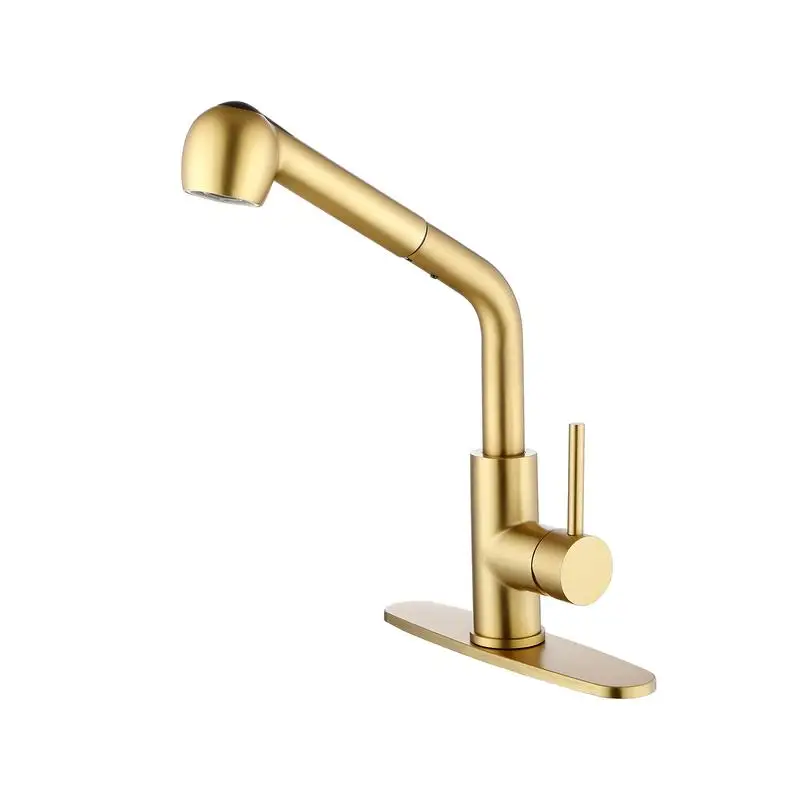 

Single Handle Kitchen Faucet with Pull-Out Sprayhead