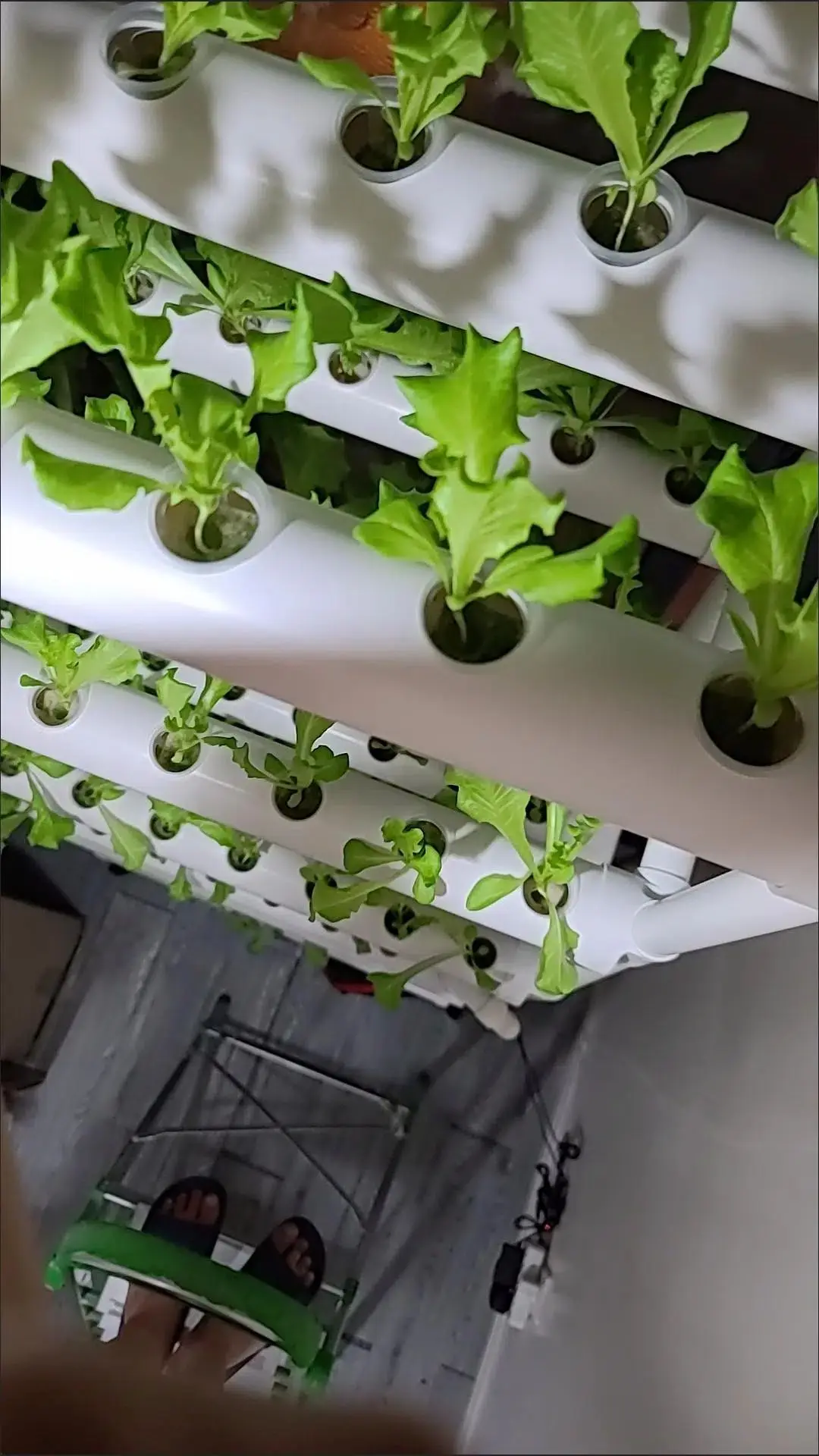 Hydroponics Nft System with 36/54/72/108 Holes Kits,Vertical Hydroponic Growing Systems PVC Tube Plant Vegetable