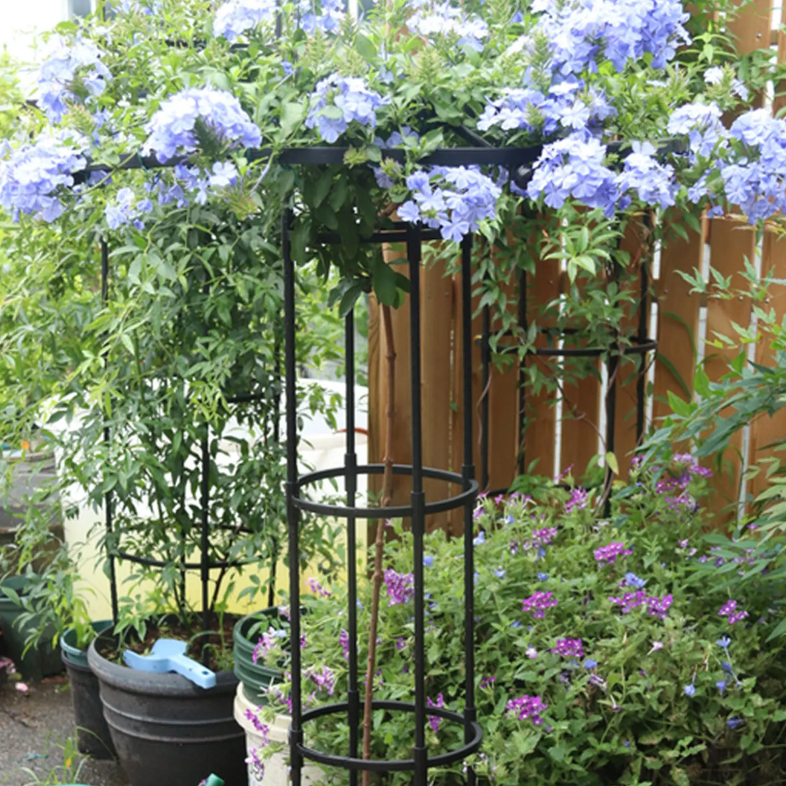 Mushroom Top Garden Trellis Sturdy Plant Support Frame for Potted Climbing Plants Vines Roses Clematis Vegetables Outdoor Decor