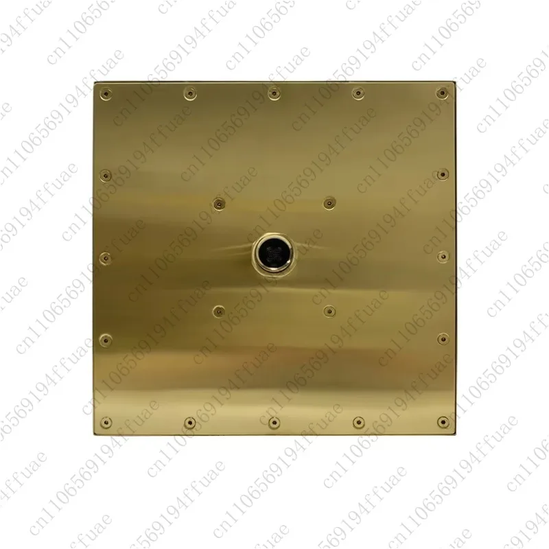 Overhead Showerhead Gold Square 10-inch