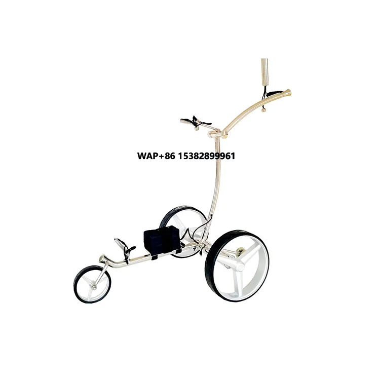 

Hot Sale High Quality 3-Wheel Electric Golf Cart Stainless Steel Material