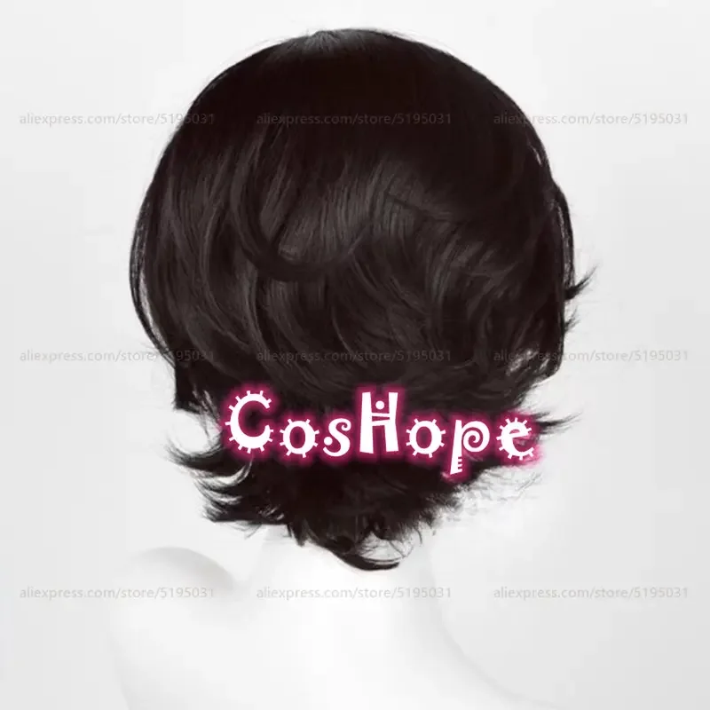 Schneider Cosplay Wig 30cm Short Curly Black Wig Cosplay Anime Cosplay Wigs Heat Resistant Synthetic Wigs
