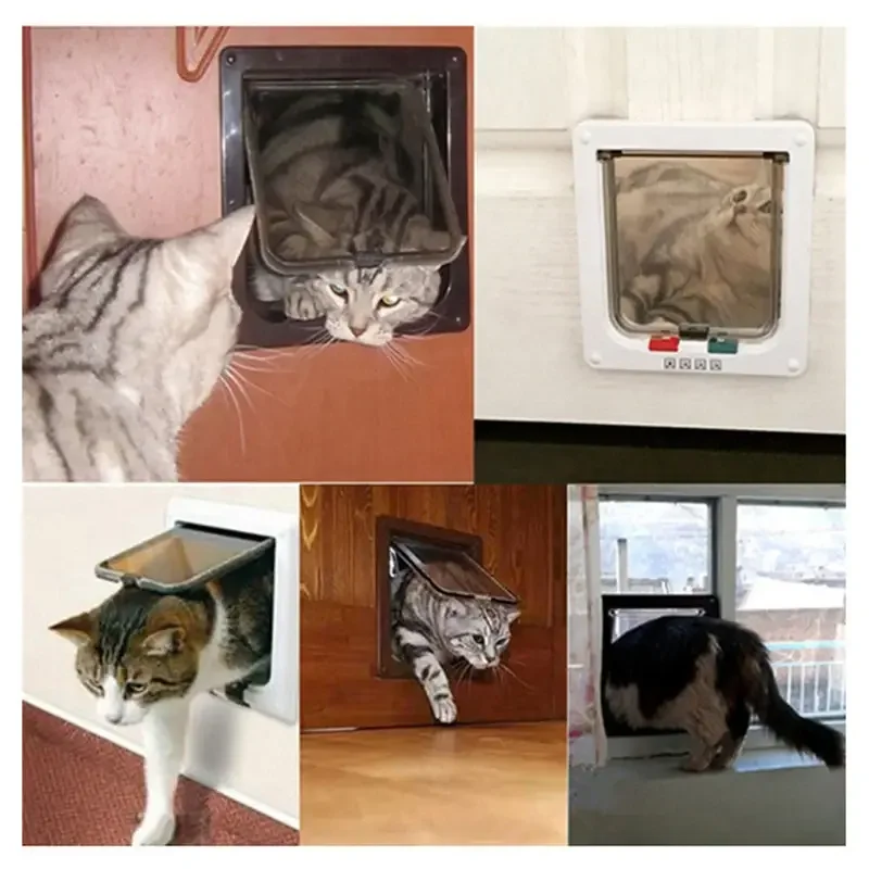 Thumbnail 2 - #13 Best Cat Doors to Buy In 2026