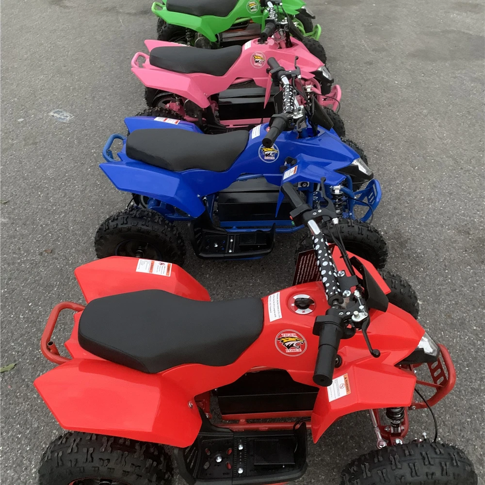 

2022 popular 800w 36V electric mini ATV with CEcustom