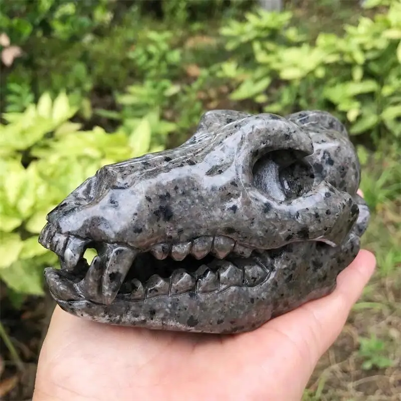 

13.5CM Natural Yooperlite Dinosaur Skull Carving Hand Polished Reiki Healing Gift Room Home Decoration 1pcs