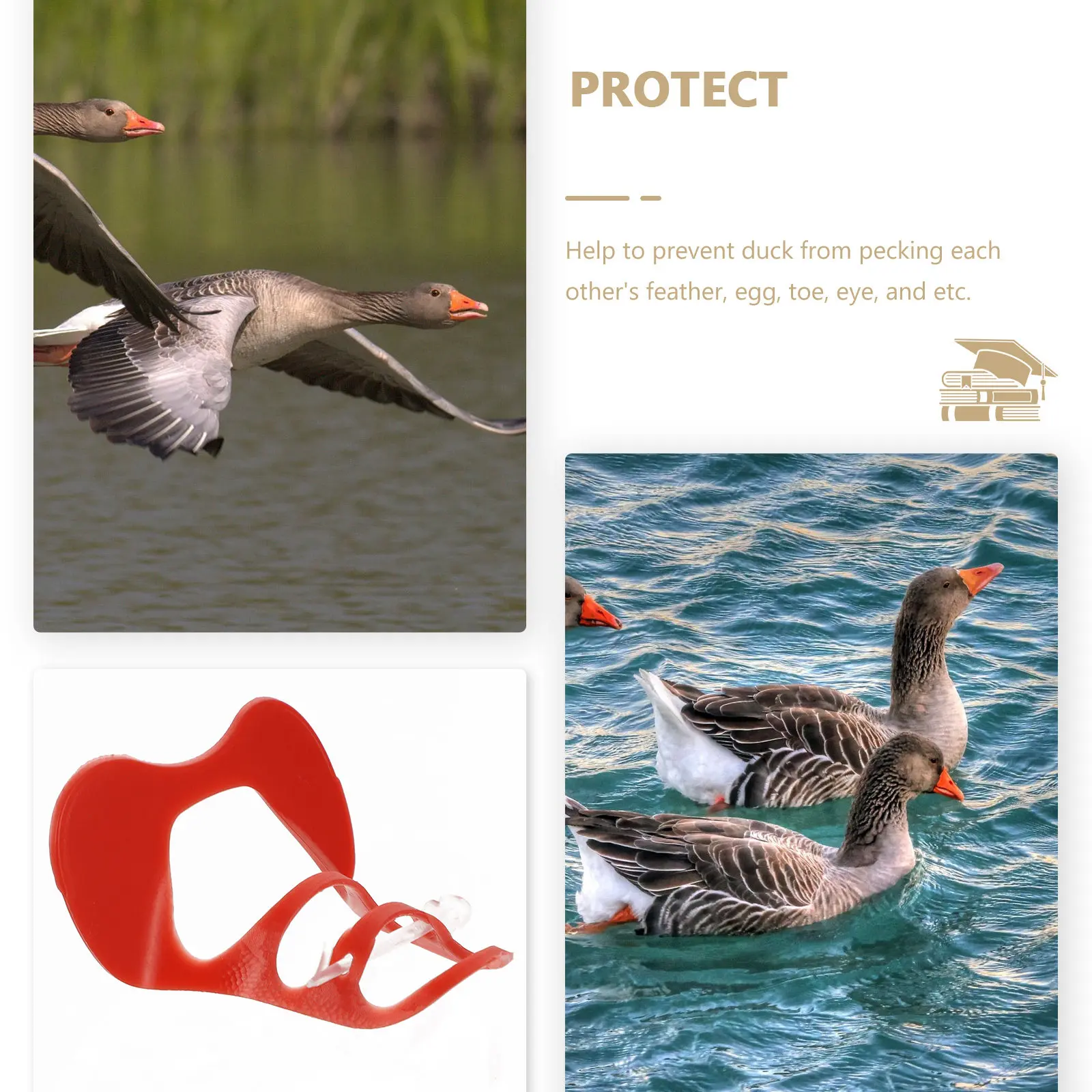 50pcs Duck Pecking Glasses Plastic Eye Mask Farm Goggles Muscovy Goose Poultry Survival Nostril Clip Easy Install