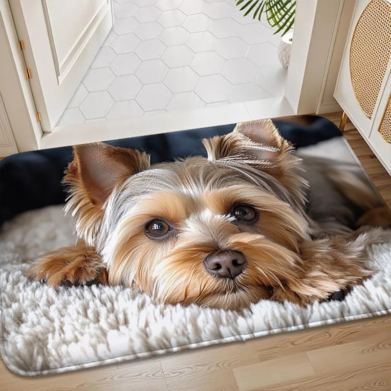 1 PC Animal Patterned Small Carpet, 580 g/㎡ Machine Washable Door Mat for Bedroom, Non-Slip Floor Mat with Foot Protection