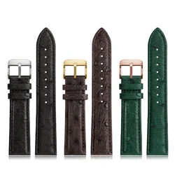 High Quality Ostrich leather Watch Strap Bracelet Black Green Brown For Women Men Watchbands 18mm 19mm 20mm 21mm 22mm