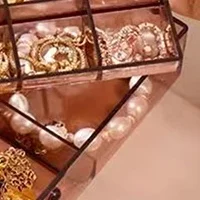 

Jewelry Box Dustproof Jewelry Storage Box Earring Earring Necklace Storage Rack Portable Multi-compartment Display Stand