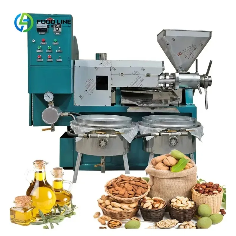 Customized 100kg/h Commercial Screw Oil Extraction Machine Automatic with Filter for Peanut Soybean Sunflower Seeds