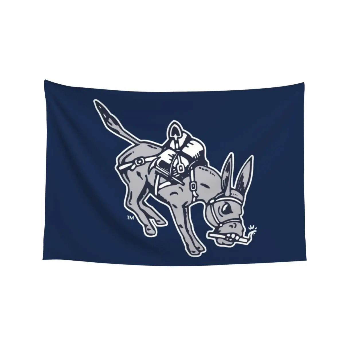 

new Colorado Mines-Orediggers Tapestry Decorative Wall Home Decor Aesthetic Room Decor Aesthetic Tapestry