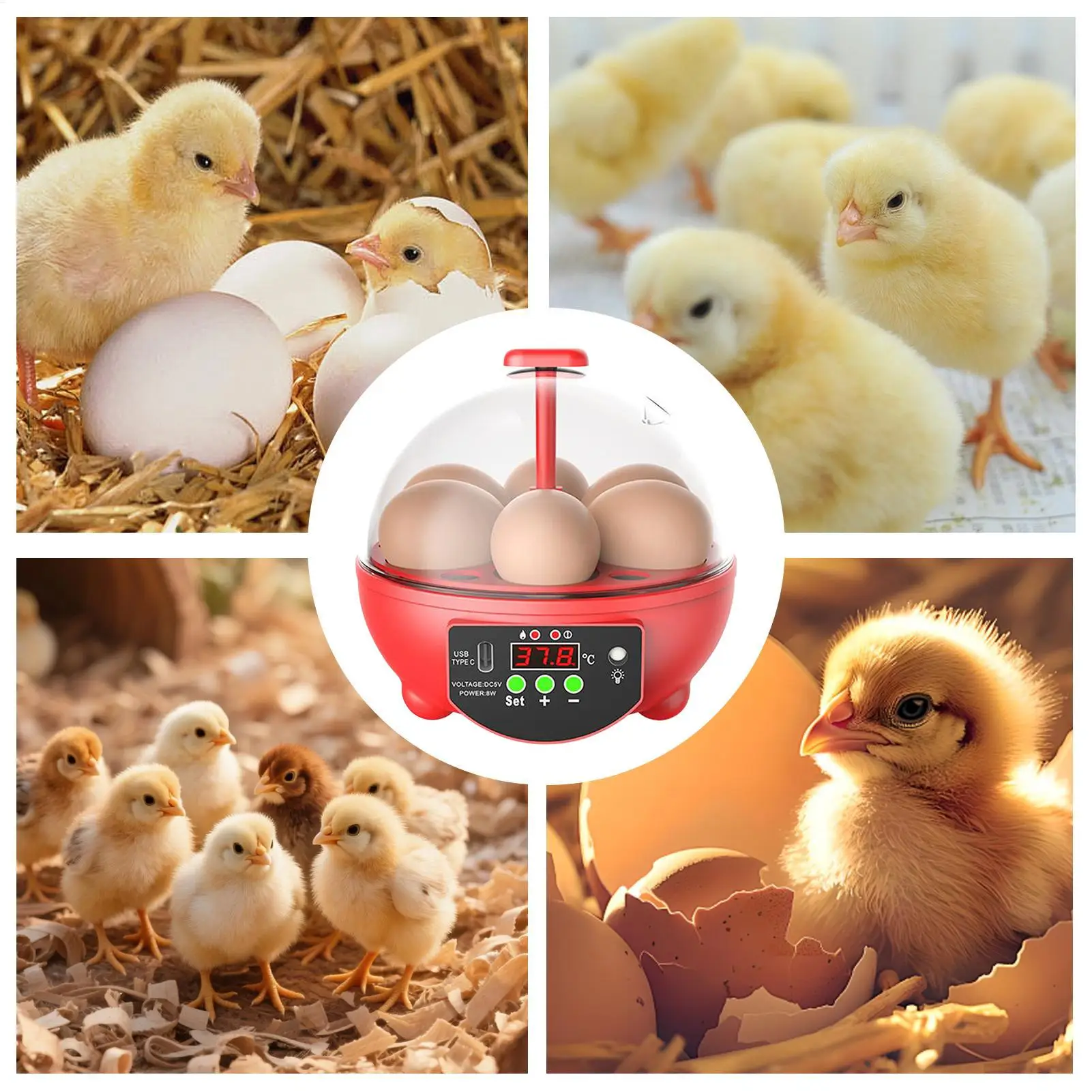 

Chicken Incubator 6-Slot Poultry Candler Clear Window Egg Hatching Incubator with Automatic Temperature and Humidity Control for