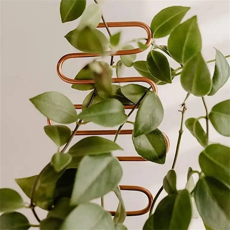 Flower Pot Holder Sturdy And Durable 10 * 34cm Plant Climbing Frame Plant Fixing Rod Stable Geometric Climbing Frame Geometry