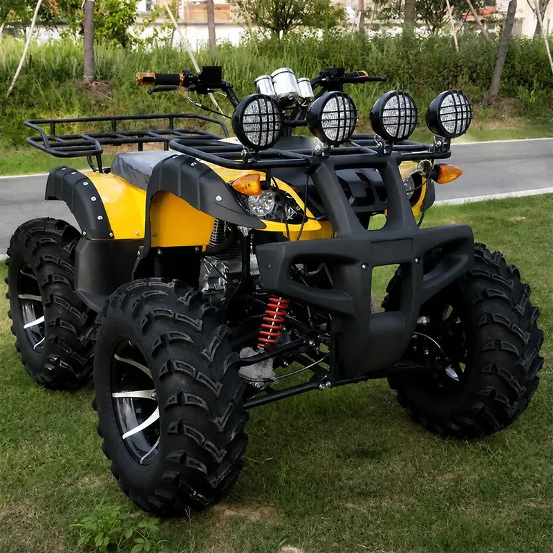 Custom 250cc ATV Shaft Drive All Terrain Quad Motorcycle Snow Kart