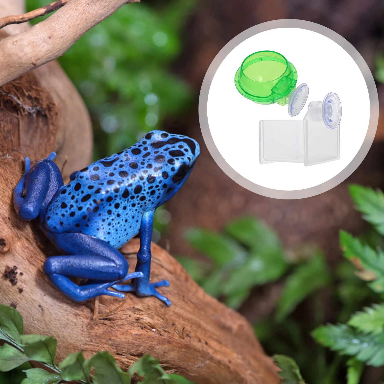 

2pcs Feeder Reptile Water Feeder Perfect Pet Water Dispenser Size Daily Use Pet Dispenser Drinker Food Bowl Accessories