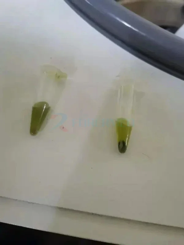 رائجة البيع OEM مختبر عالية التدفق الأنسجة المبردة Liser طاحونة تنقية الحمض النووي الخام RNA البروتين المبردة طاحونة