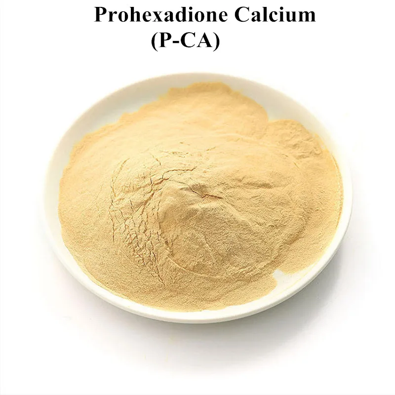 

FarmReaching Plant Hormone Control Overgrowth Прохексиона Кальций Прохексиона-Кальций KUH-833 98%TC