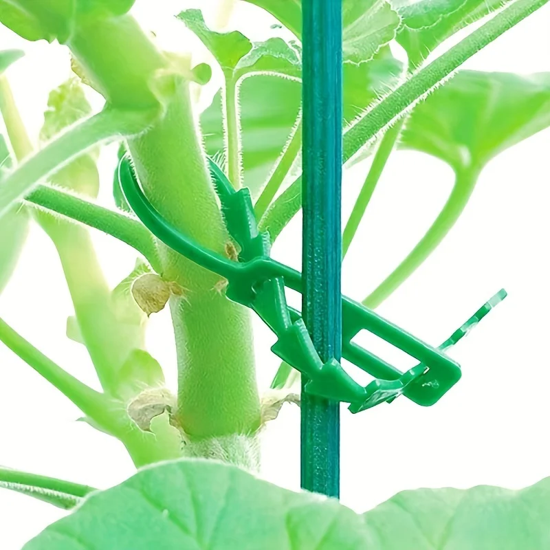 1 pack of 50 green garden zip ties, gardening zip ties can be reused