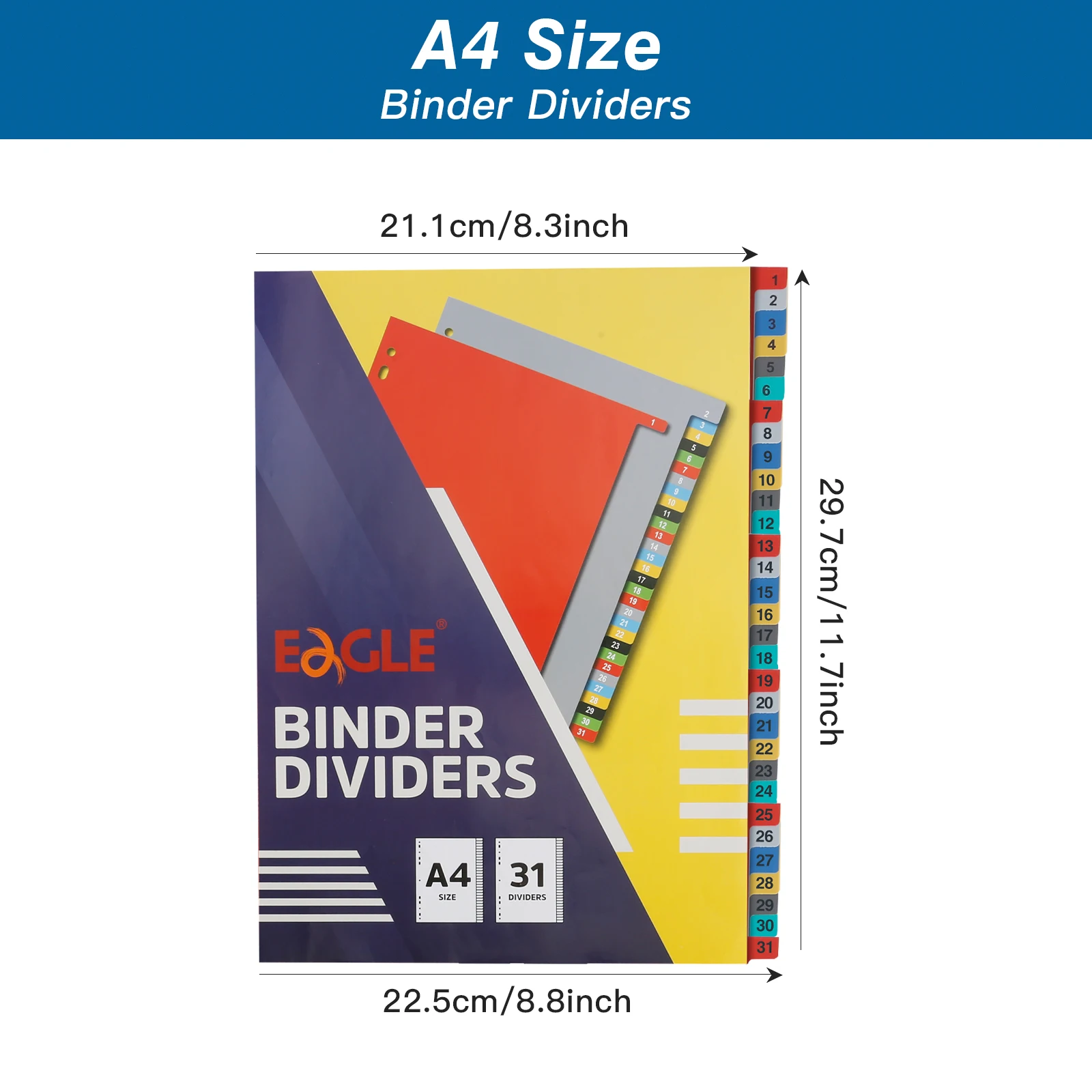 EAGLE A4 Binder Index Divider With Tabs,31 Pcs Multi-color Fit for 2/3/4/11 Ring Binder and Loose-leaf Notebook Dividers