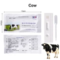 for cow