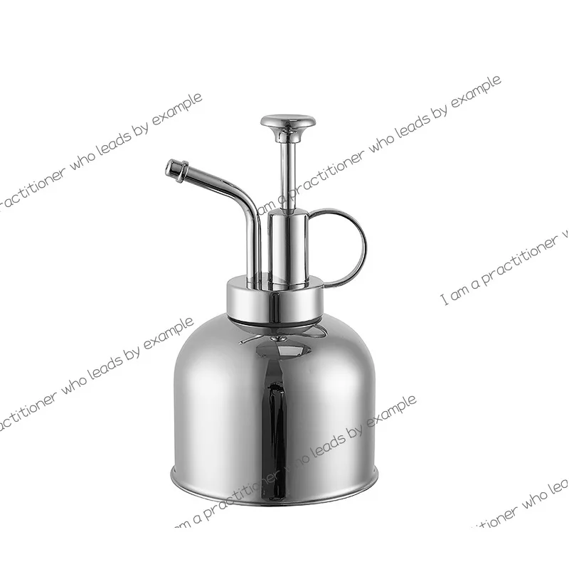 304 stainless steel sprinkler silver sprayer succulent green plant mini small water pouring water device metal watering can