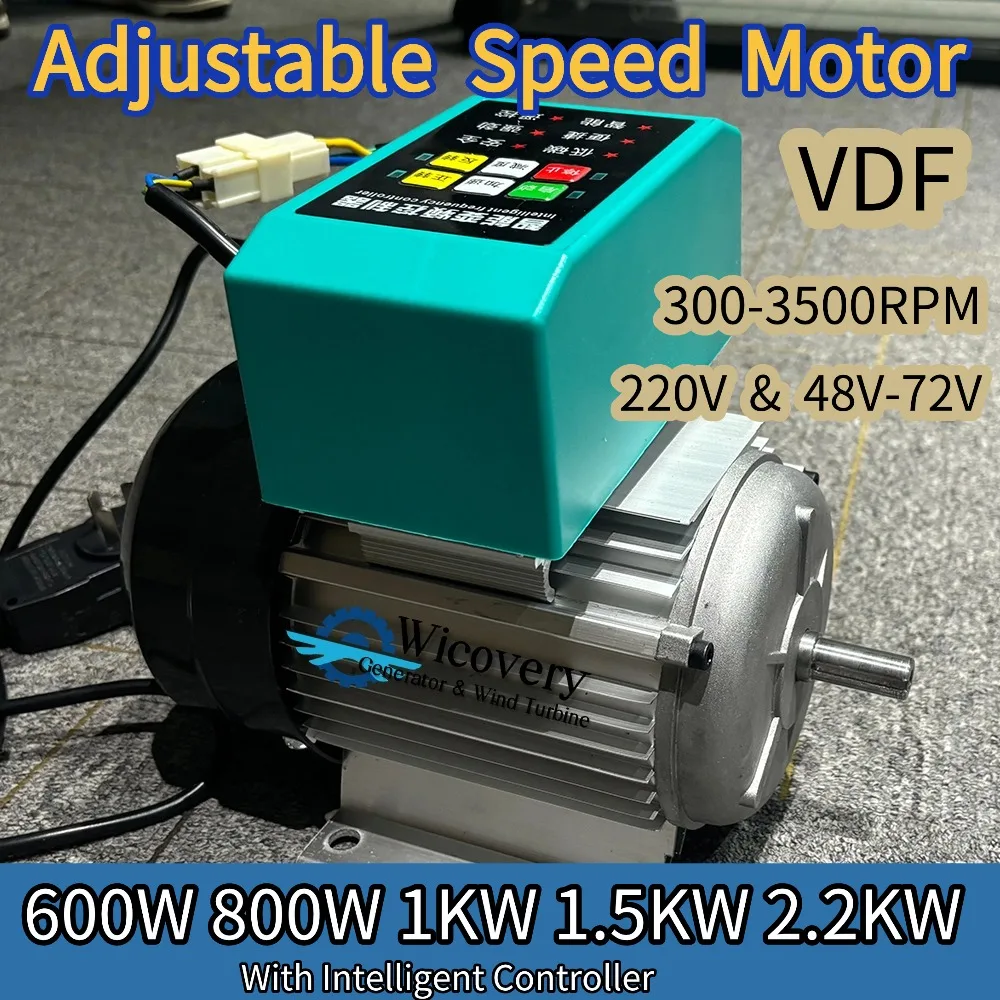 800W 1.5KW 2.2KW Adjustable Speed Motor 220V 1Phase AC 48V-72VAuto DC With Variable Frenquency Drive VDF Controller For  String