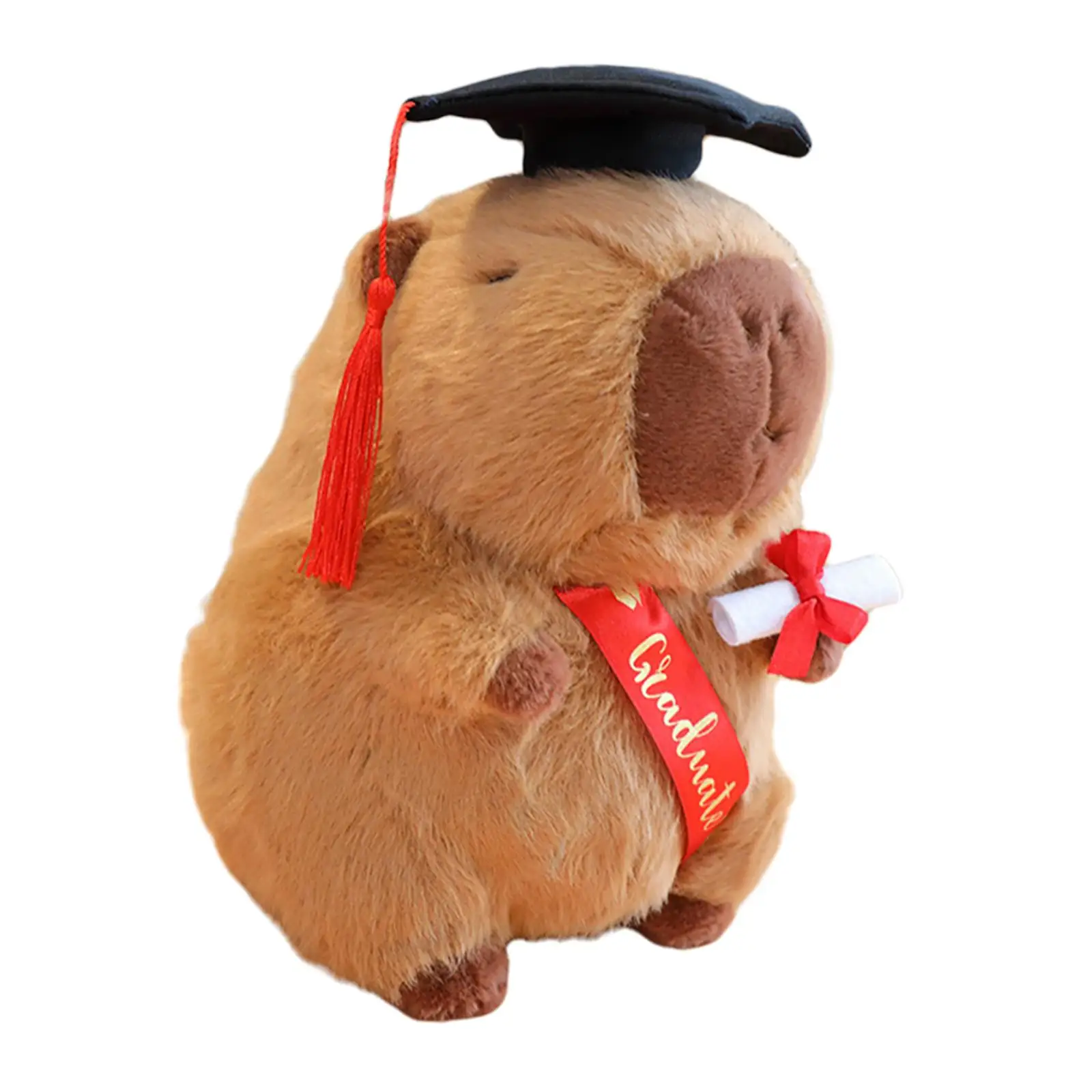 Graduation Doll 25cm Birthday Kids Family Girls Adults Toy