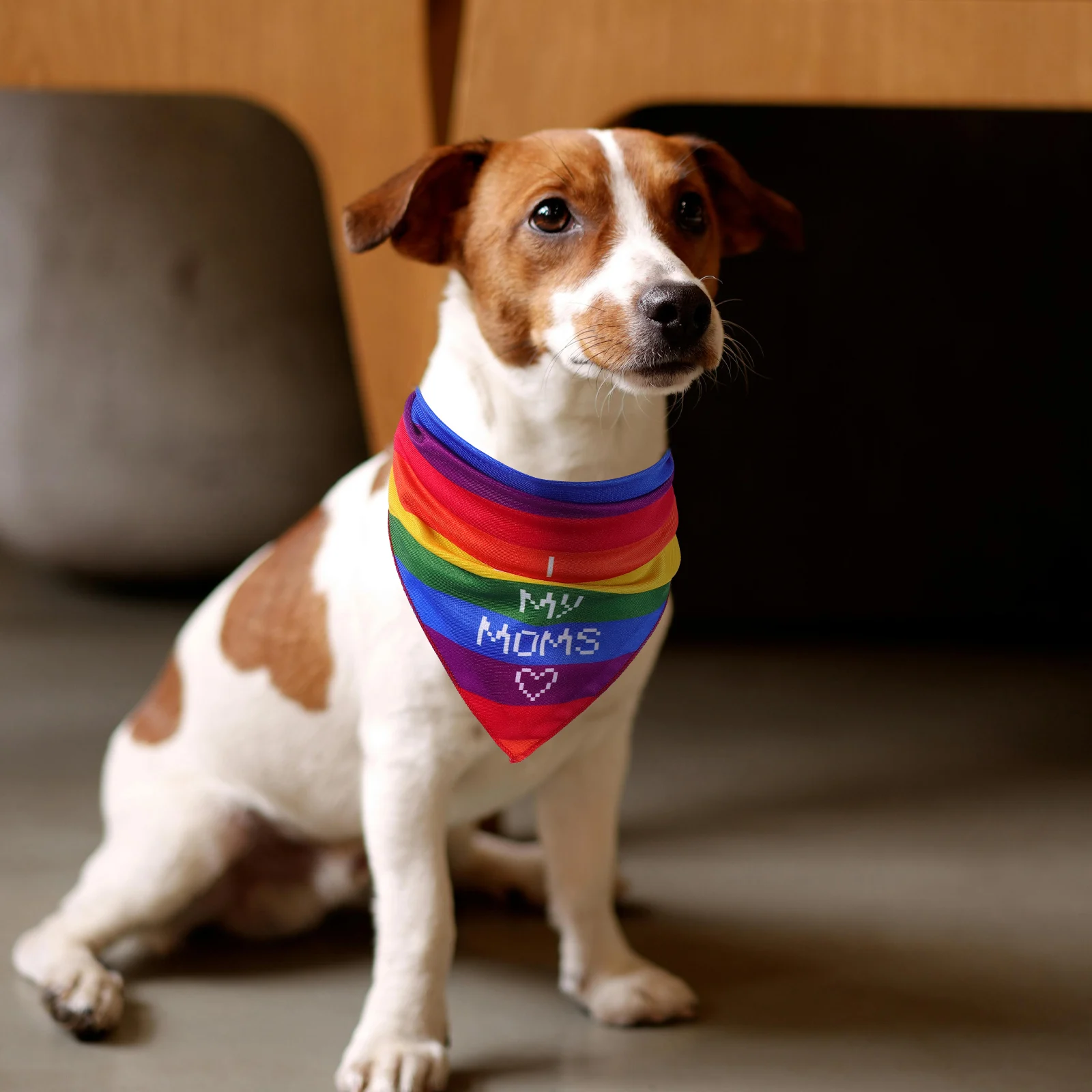 

Pet Bib Rainbow Stripe Bandanas for Small Medium Cats Dogs Scarf Pride Day Accessories Gay Kerchief Dog Clothes Pet Supplies