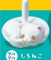 white cat dizzy