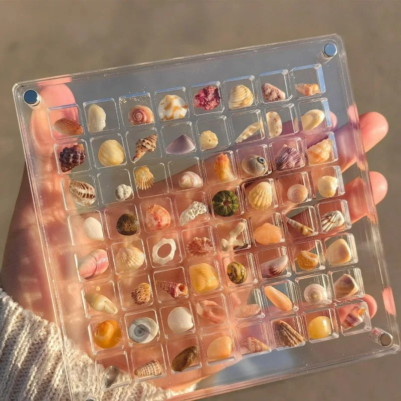 36 Grids Seashell Display Box Acrylic Magnetic Seashell Display Case Organizer Box Stackable Small Craft Compartment Boxd
