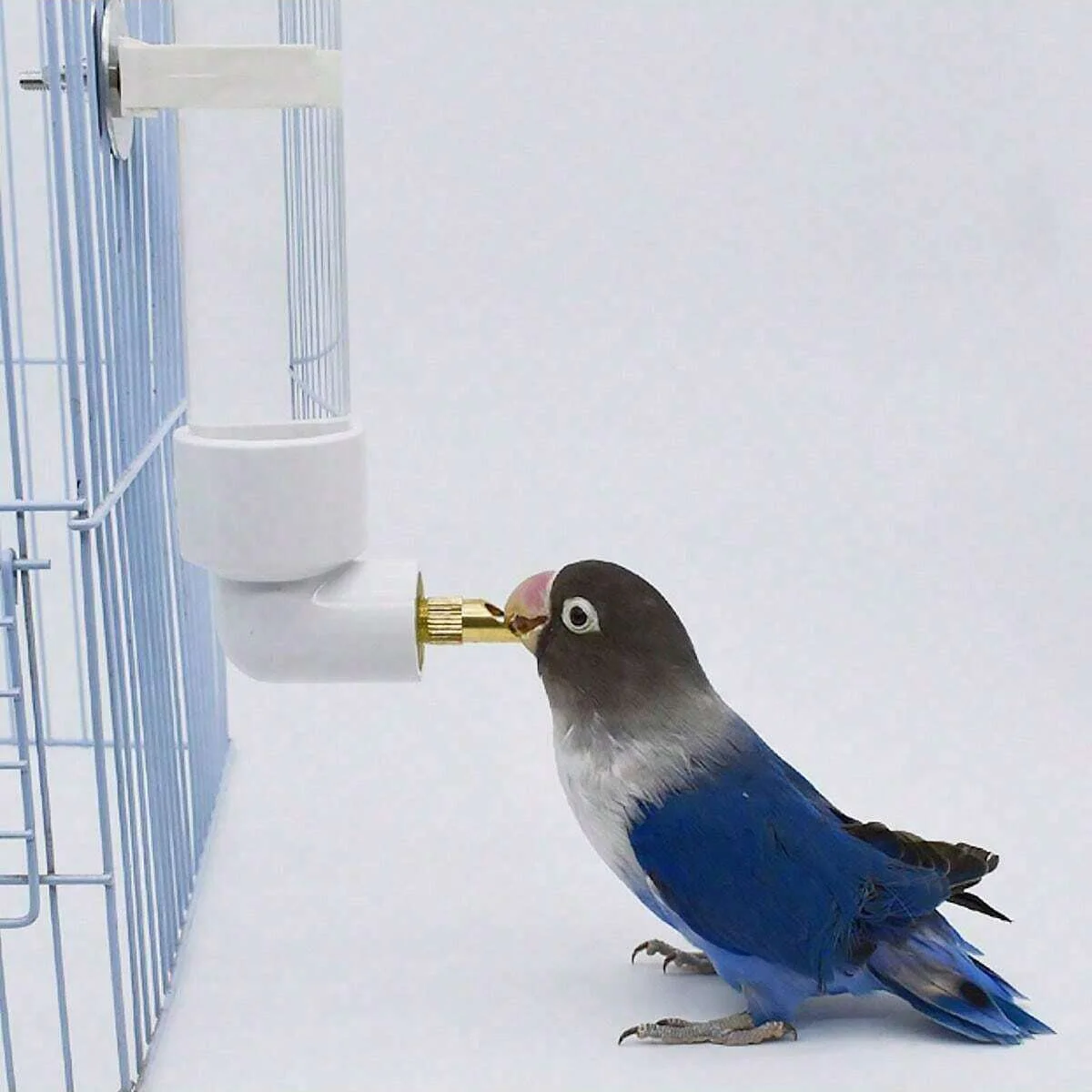 1pc-Parrot water dispenser, water bottle, hanging automatic feeder cage