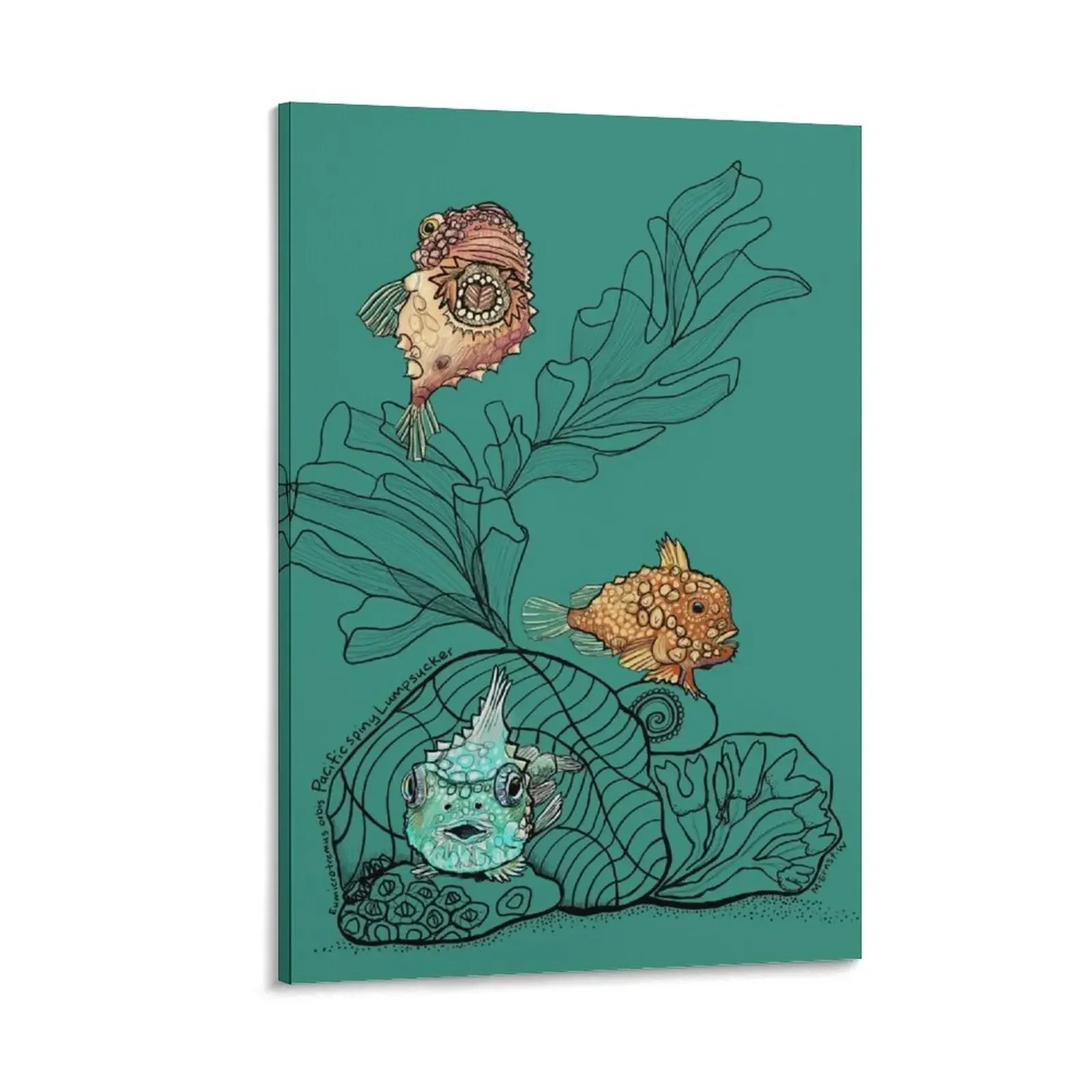 

Three Pacific Spiny Lumpsuckers Doodle Canvas Painting pictures for wall aesthetic room decor anime