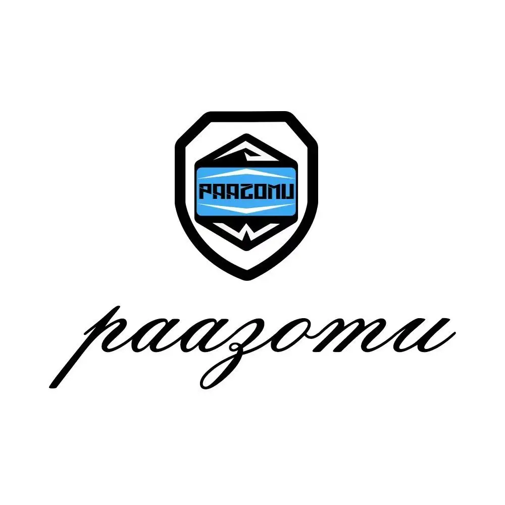 PAAZOMU Luxury Brand Quartz Watches Men Waterproof Luminous Date Wristwatch Male Stainless Steel Male Sport Chic Gents Watch