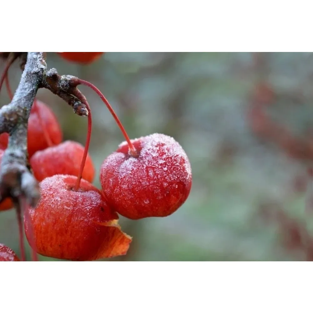 Flywoo F722 Pro Min… - image