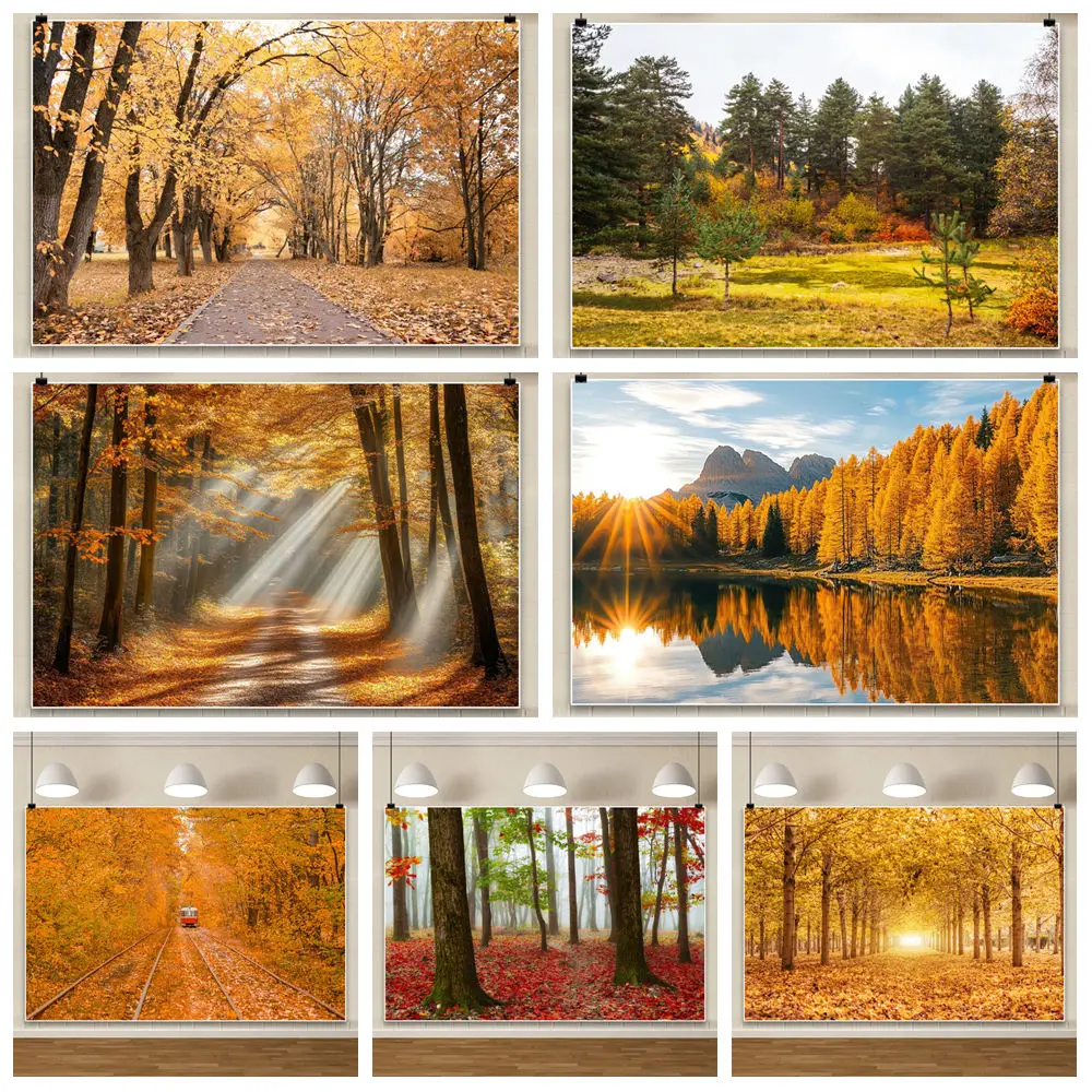 

Autumn Theme Background For Photography Mountain Forest Fields Maple Leaves Backdrop Cloth Photography Accessories Photozone
