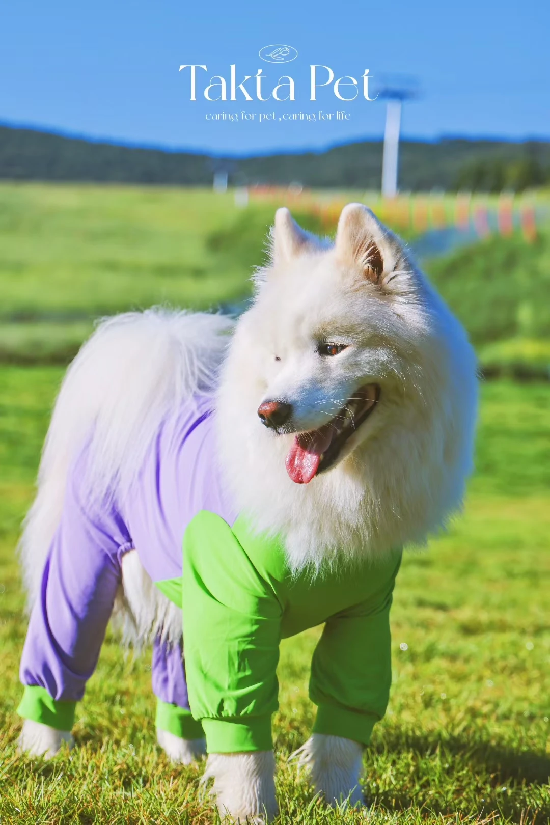 Traje de verano, mono grande para perros para Schnauzer Husky Labrador Golden Retriever Dobermann Bull Terrier, ropa para perros