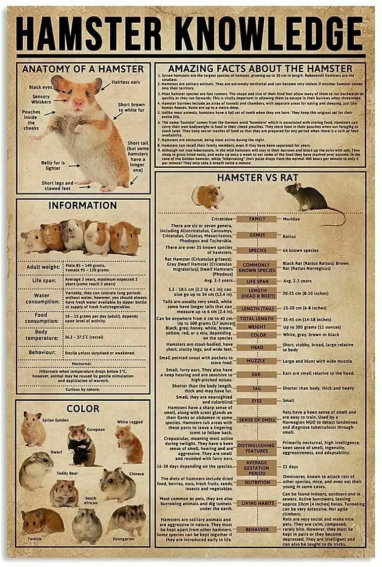 Lindafeeney Hamster…