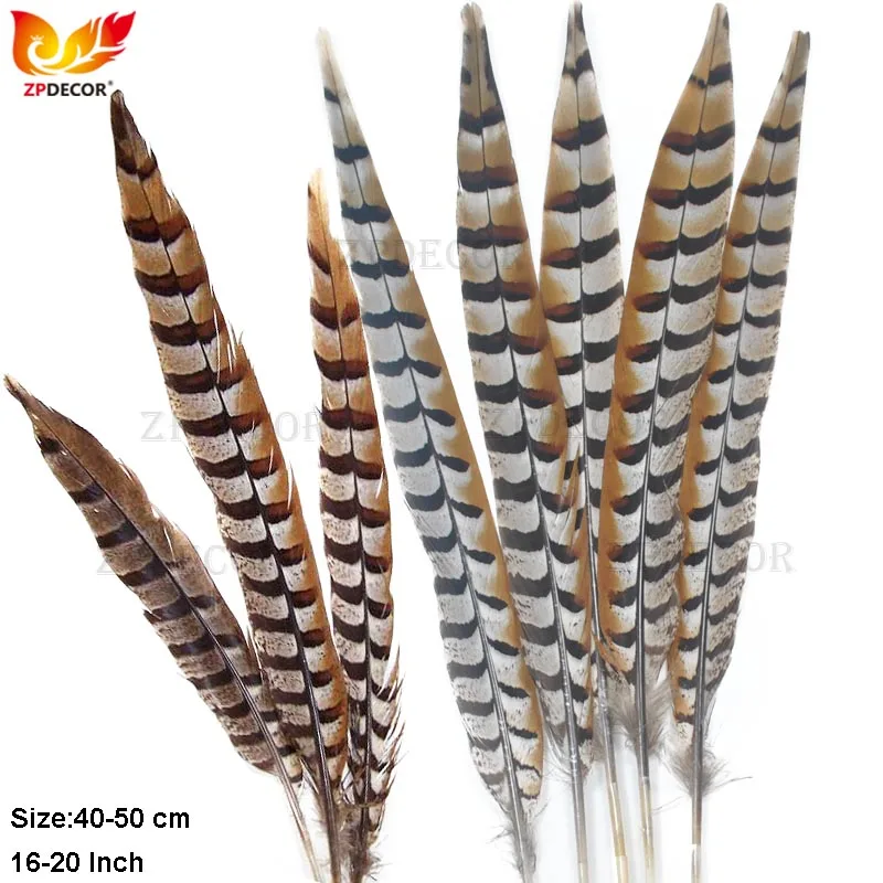 45-50CM 18-20 Inch Natural color Reeves Venery Pheasant Feathers